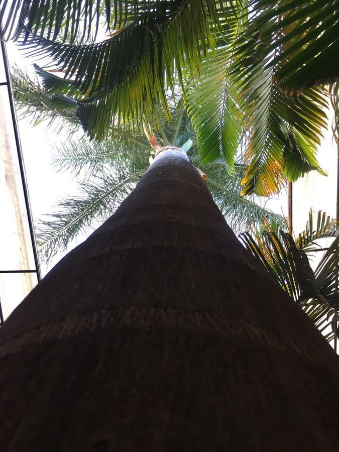 Hotel Tierra Del Sol Oaxaca Экстерьер фото