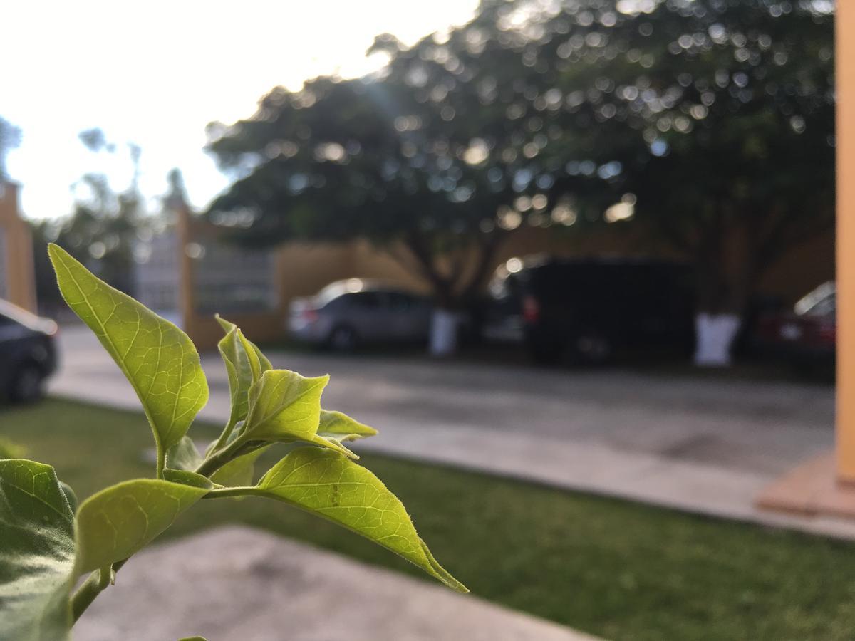 Hotel Tierra Del Sol Oaxaca Экстерьер фото